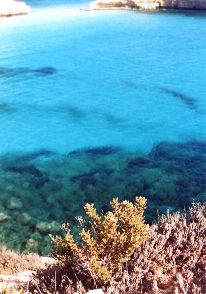 Le immagini della Spiaggia dei Conigli e dell'Isola dei Conigli a Lampedusa