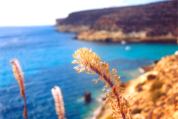 Le immagini della Spiaggia dei Conigli e dell'Isola dei Conigli a Lampedusa