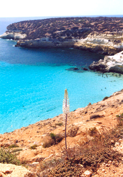 Le immagini della Spiaggia dei Conigli e dell'Isola dei Conigli a Lampedusa