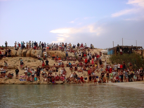 Liberazione delle Tartarughe Caretta Caretta, curate dal WWF