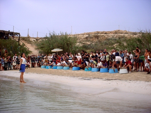 Liberazione delle Tartarughe Caretta Caretta, curate dal WWF